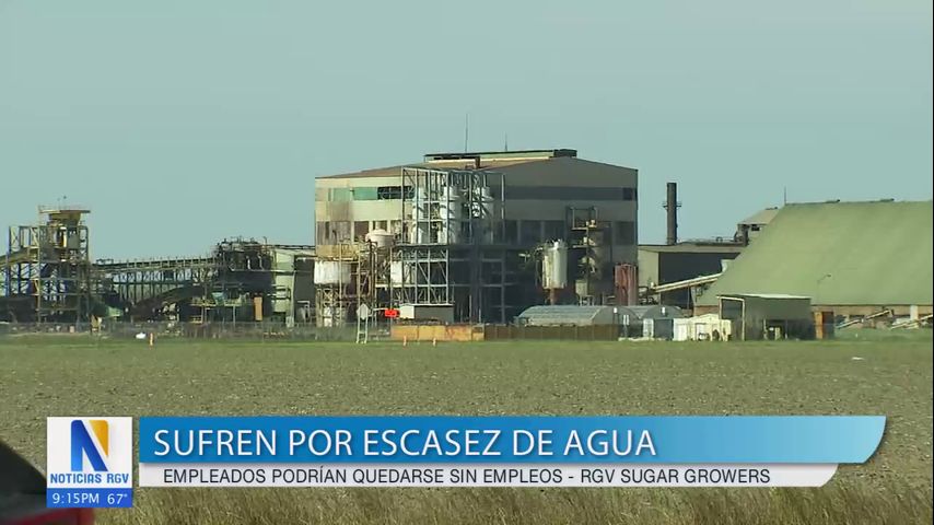 RGV Sugar Growers sufren por escasez de agua