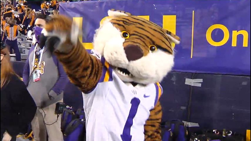 High school team to again have live tiger mascot at football game