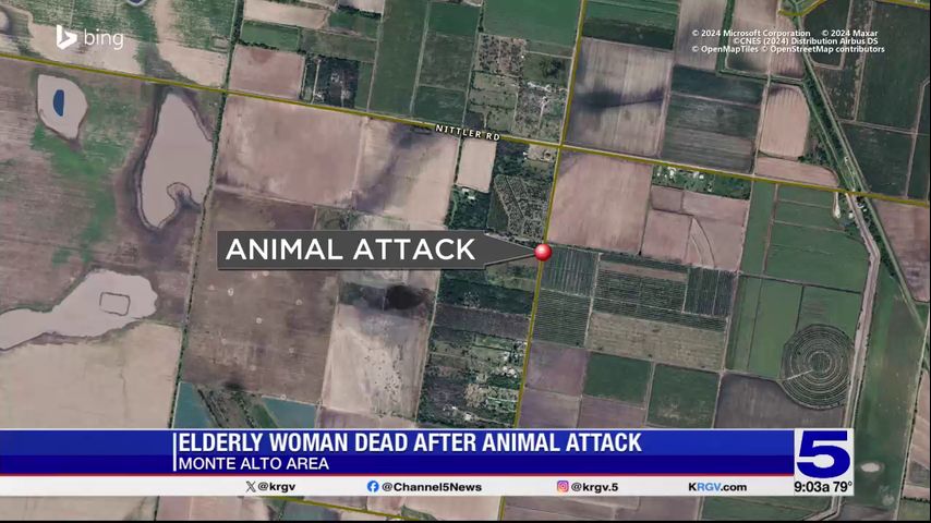 Monte Alto woman dead following dog attack