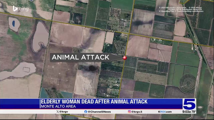 Woman killed in Monte Alto dog attack identified