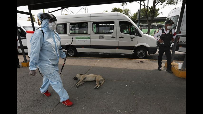 Medidas contra coronavirus no disminuyen violencia en México