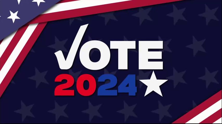 Vote 2024: July elections for La Grulla, Palmview and San Juan