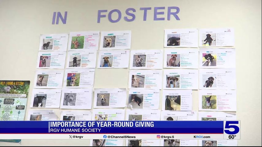 For Giving Tuesday, RGV Humane Society discusses importance of year-round giving