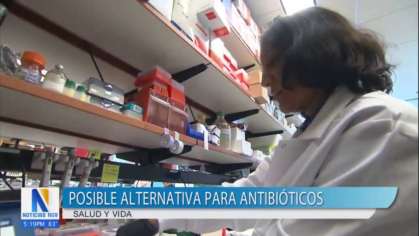 Posible alternativa para antibióticos con descubrimiento de nuevos virus