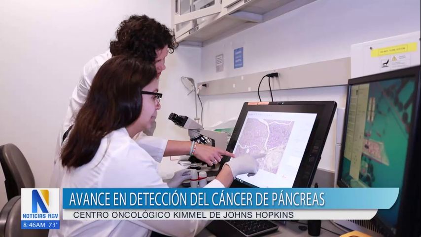 Especialistas avanzan en la detección temprana del cáncer de páncreas