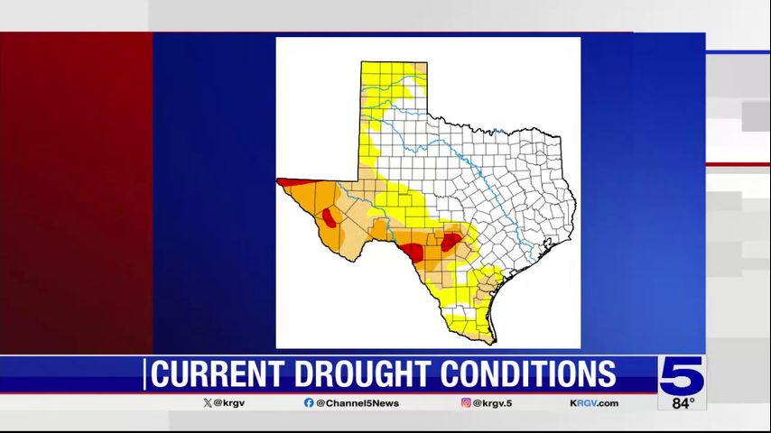 Starr County approves drought-related disaster declaration