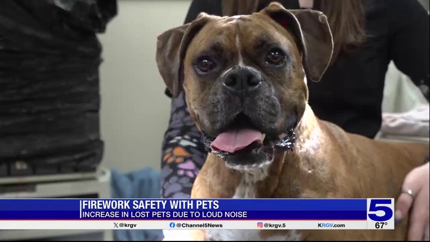 RGV Humane Society says loud New Year's celebrations causes increase in lost pets