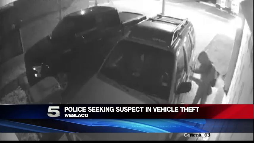 Police Searching for Suspect Involved in Motor Vehicle Theft