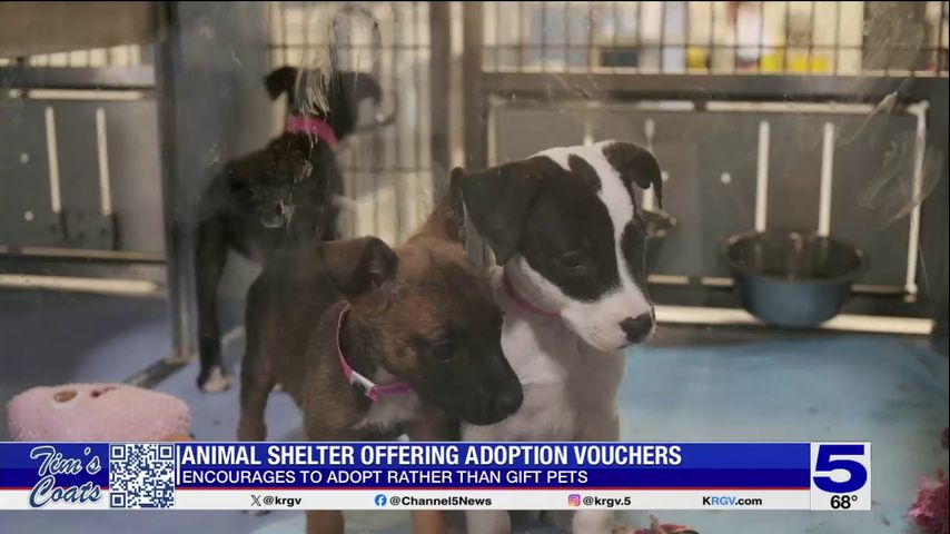 PVAS offering vouchers to encourage pet adoptions