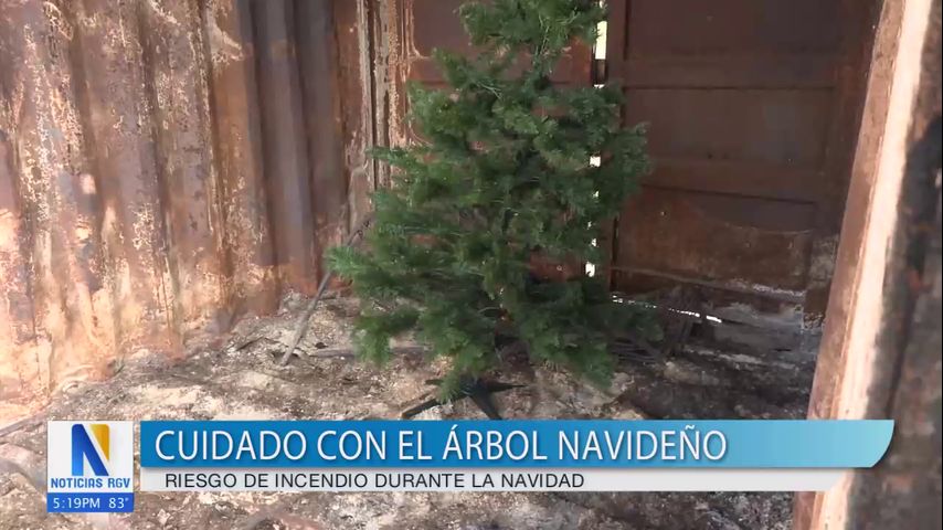 Advierten sobre posibles incendios ocasionados por árboles navideños