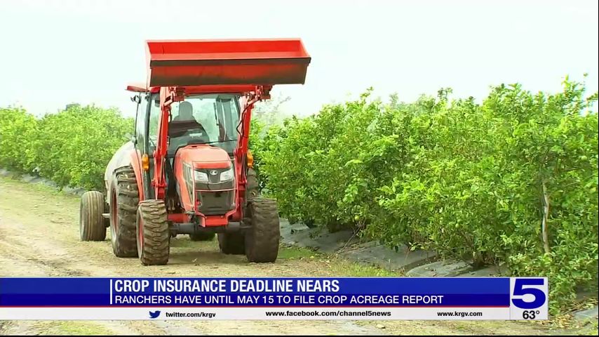 Crop insurance deadline for Valley farmers, ranchers nears