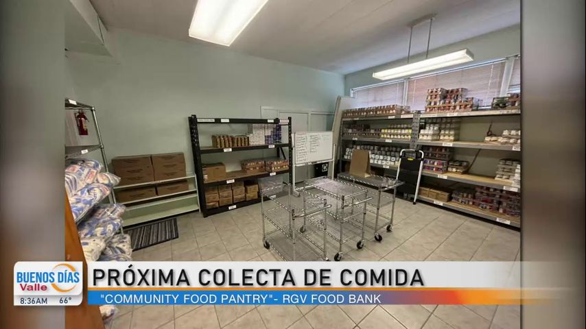 Colecta de comida en Brownsville