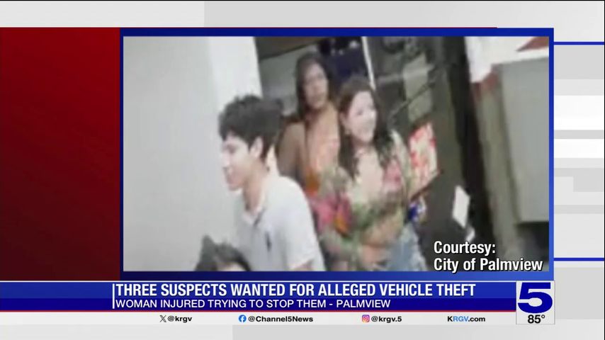 Police seeking suspects accused of stealing car from Palmview Whataburger