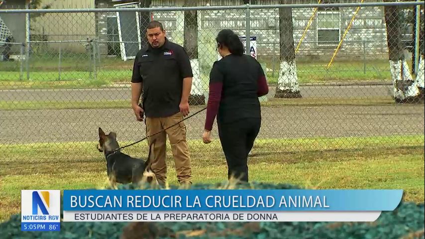 Buscan disminuir la crueldad animal en Donna