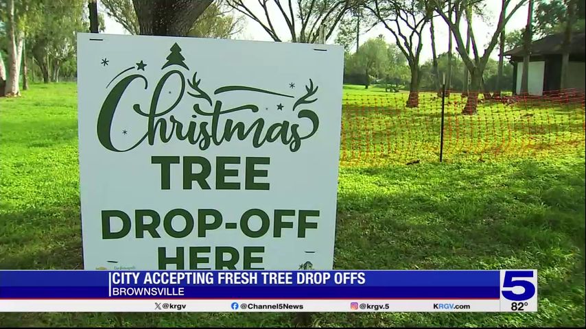 Brownsville residents can dispose of Christmas trees at city parks