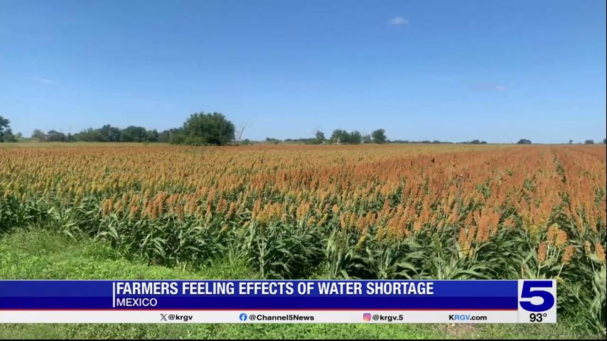 Farmers in Mexico feeling effects of water shortage