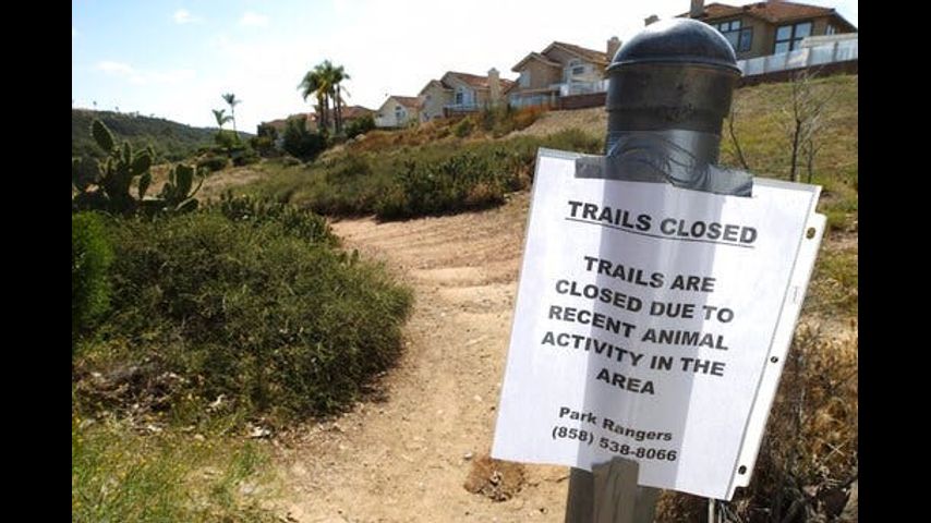 DNA tests confirm mountain lion attacked California boy