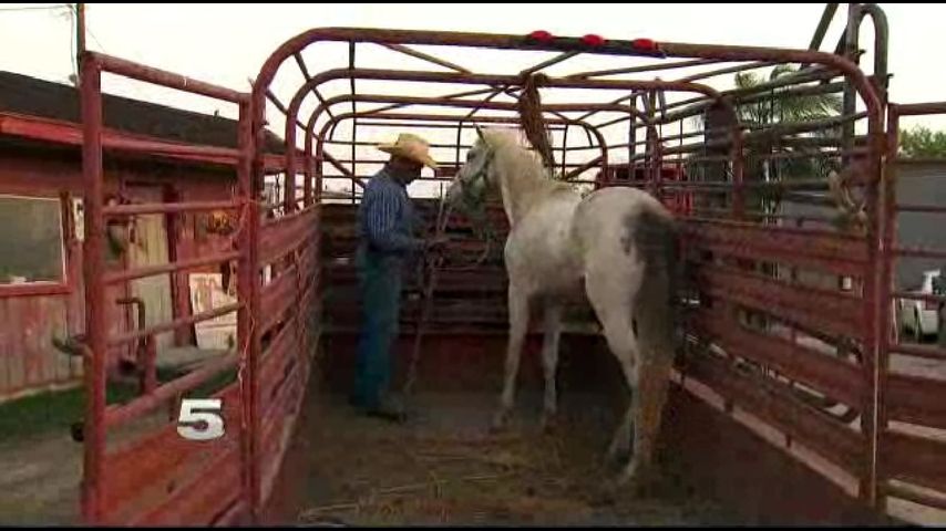 Valley Cowboy Offers Option to Give Away Livestock 