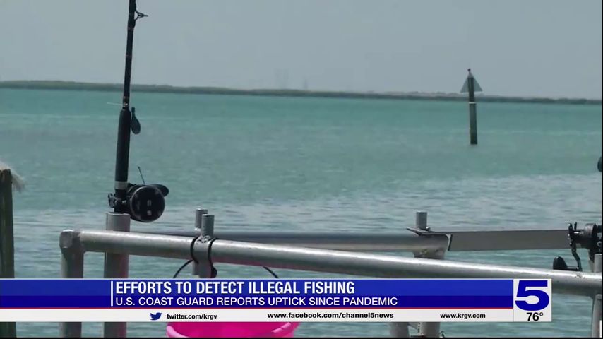 U.S. and Mexican coast guard reports increase in illegal fishing on both sides of the border