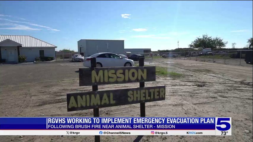 Mission animal shelter working to implement evacuation plan following recent brush fire