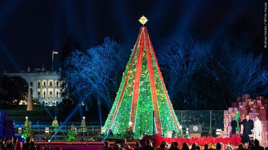 Eventos de iluminación de árboles de Navidad que se llevan a cabo en todo el Valle