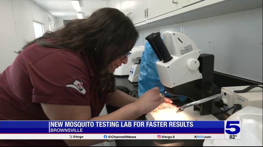 New mosquito testing lab opens in Brownsville