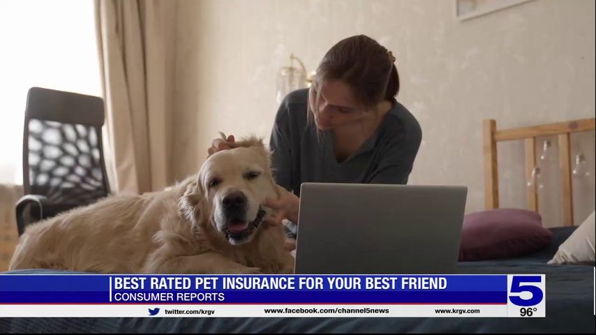 Consumer Reports: Best pet insurance for your best friend