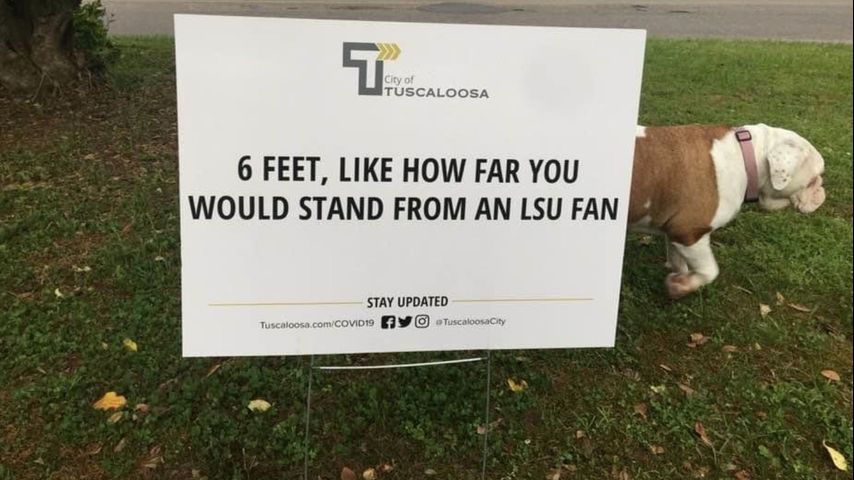 How Far Is 6 Feet? 