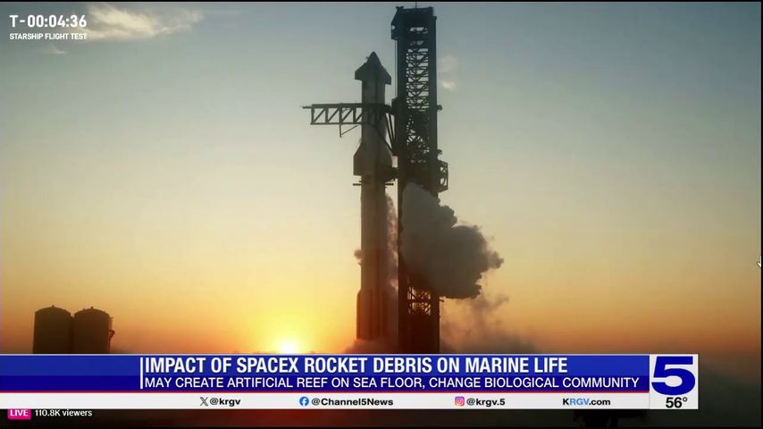 SpaceX debris from Boca Chica launch expected to become new marine habitat