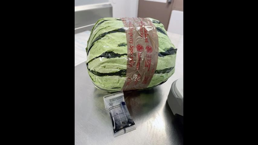 Customs officers in California seize $5 million worth of methamphetamine disguised as watermelons