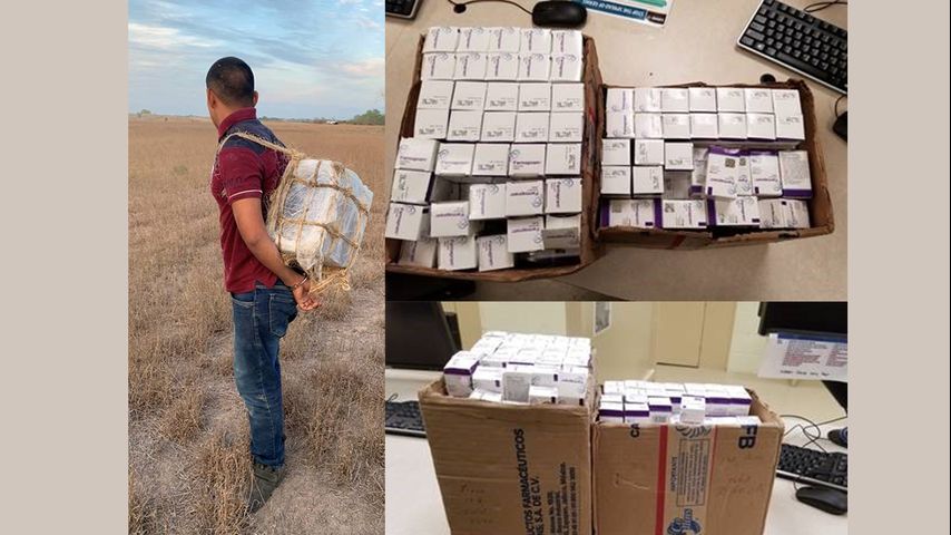 Over 2,000 Xanax pills seized by Alamo Police