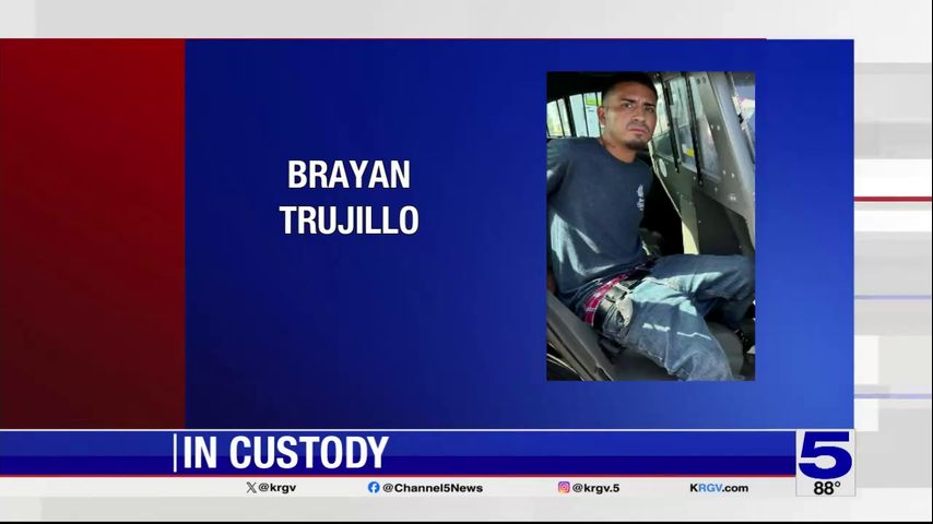 Brownsville police arrest man driving stolen vehicle