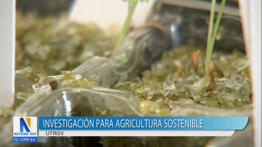 UTRGV realiza un proyecto de investigación para agricultura sostenible