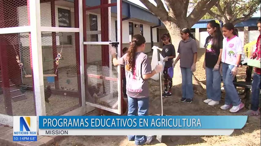 Estudiantes en Mission criando gallinas