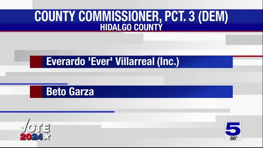 Early voting results for Hidalgo County Precinct 3 seat in the ...