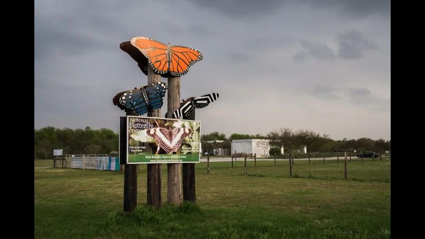 Threats from QAnon conspiracists have forced a butterfly sanctuary in the Rio Grande Valley to close