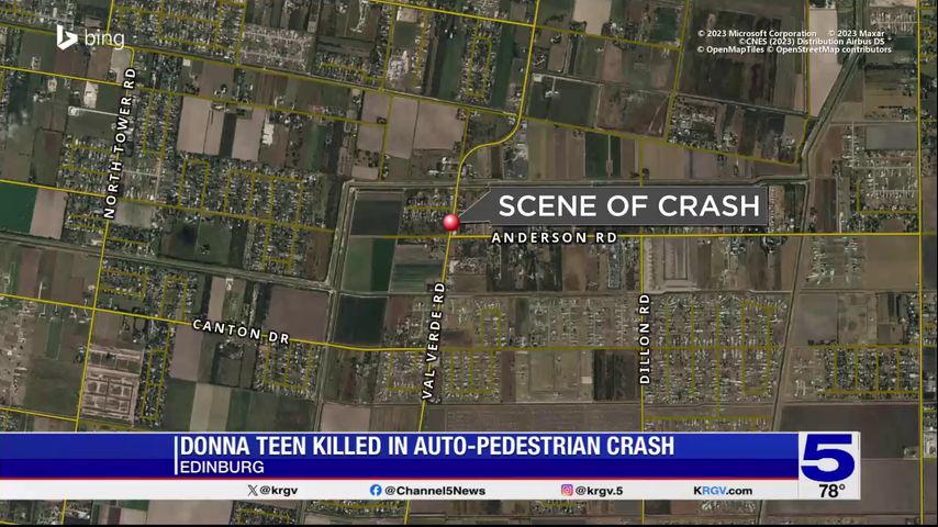 Donna teen killed in auto-pedestrian crash