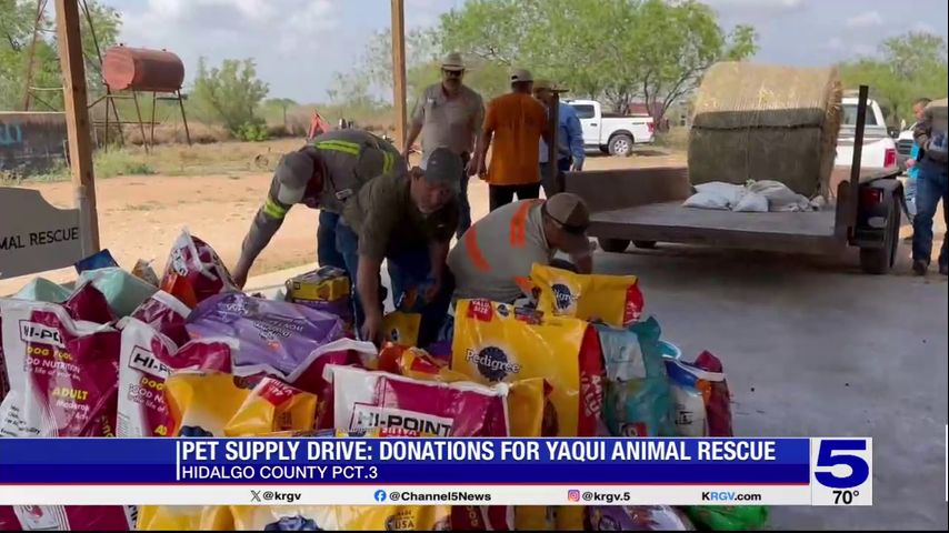 Hidalgo County Precinct 3 launches pet supply drive