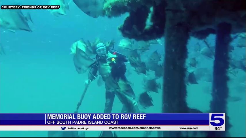 ‘We’ve made an entire ecosystem:’ Artificial reef near South Padre Island growing