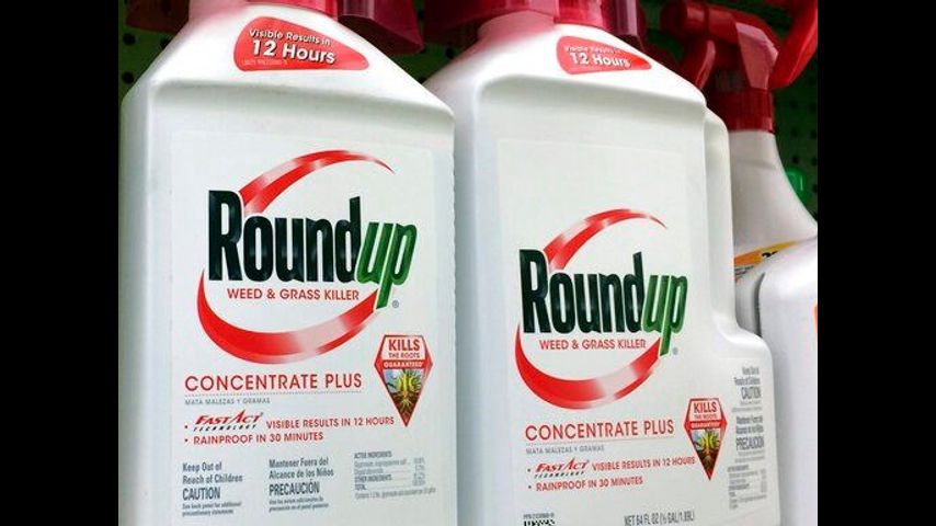 High-stakes trial over Roundup cancer claim to begin