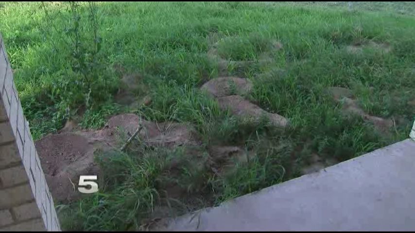 Disabled Veteran Upset by Pests Crossing Over from Neighboring Property