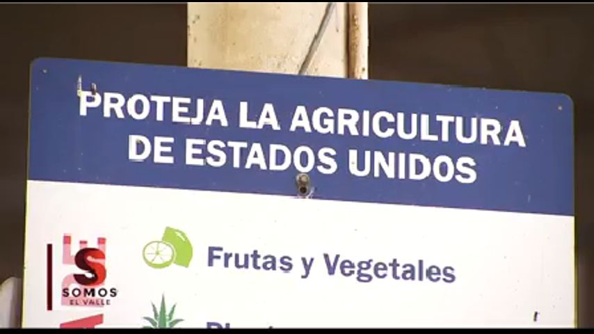 Información Importante Que Debe Saber 