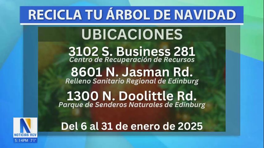 Edinburg lanza programa para reciclar árboles de Navidad y crear abono