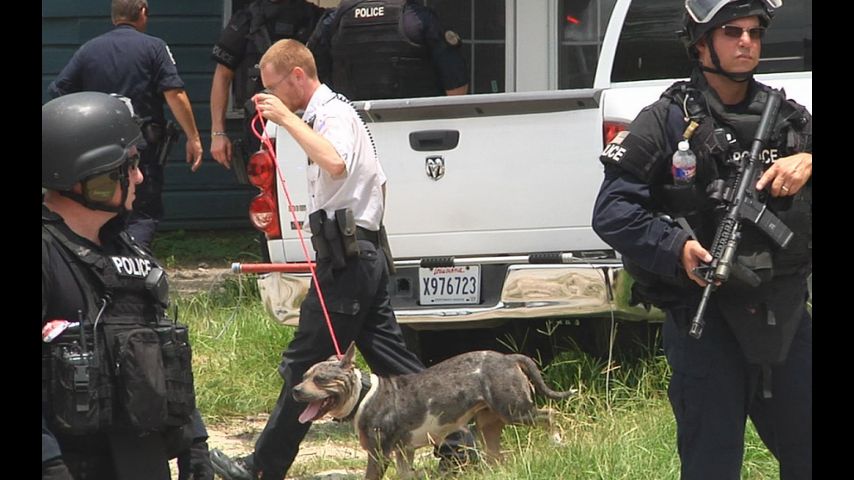 4 Unattended Dogs Seized After Brpd Swat Narcotics Raid Man And Woman Arrested