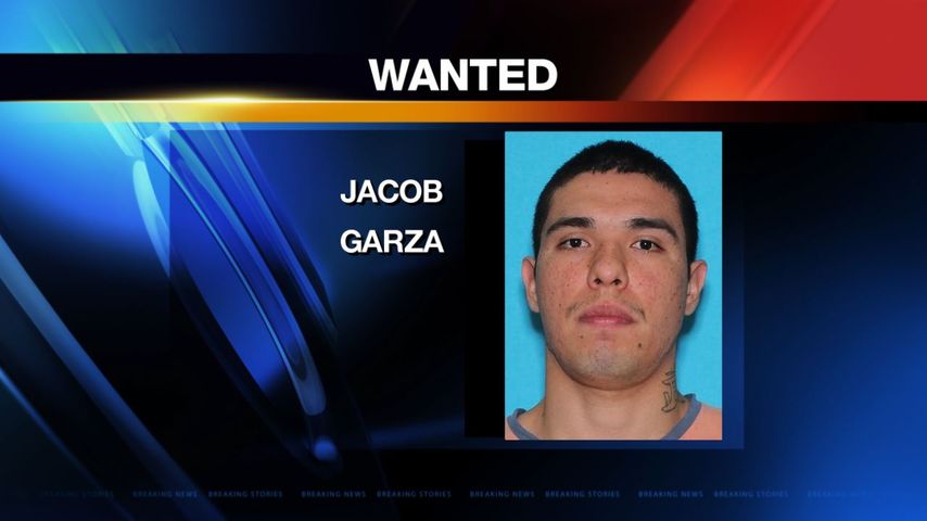 Brownsville Authorities Searching for Criminal Mischief Suspect