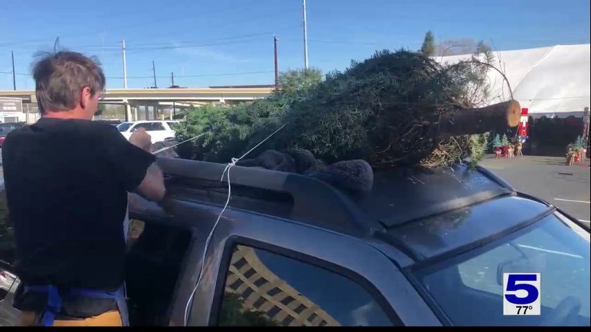 Tips for getting your Christmas tree home safely