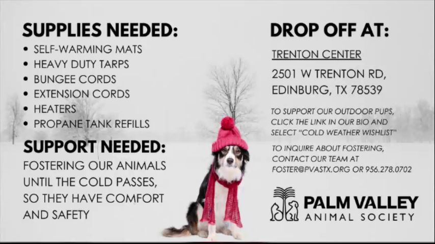 Valley animal shelters seeking donations and fosters ahead of cold front