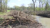 Federal, local dollars at work clearing waterways in EBR