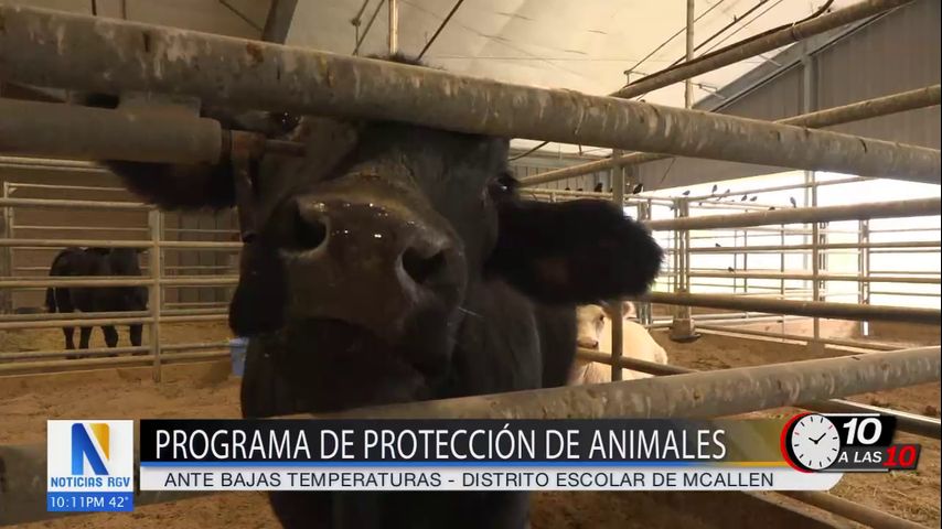 Distrito escolar de McAllen inicia programa de protección de animales ante bajas temperaturas