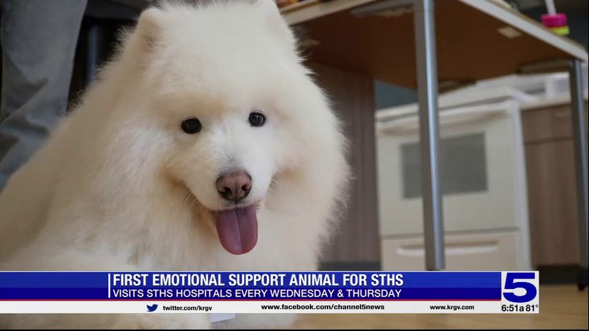 South Texas Health System welcomes first emotional support animal for patients